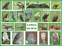 Lednice 3 2016